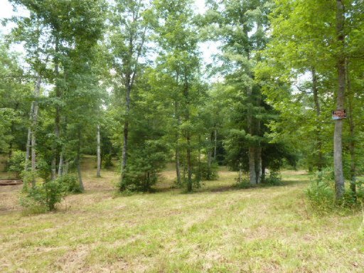 3533 Mt Helen Road Allardt, TN 38504 - Photo 6 of 37 Additional Photo