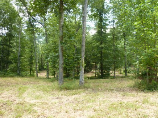 3533 Mt Helen Road Allardt, TN 38504 - Photo 7 of 37 Additional Photo