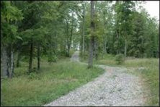 3533 Mt Helen Road Allardt, TN 38504 - Photo 8 of 37 Additional Photo