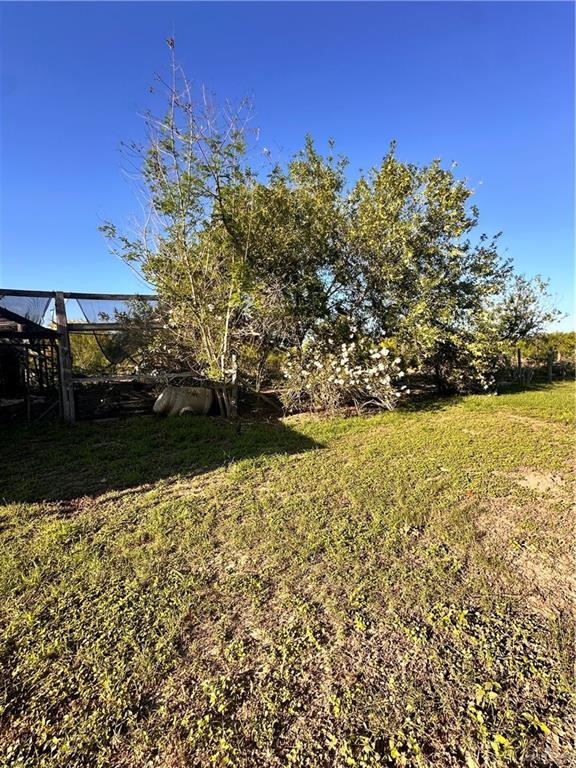 26841 Iowa Gardens Road San Benito, TX 78586 - Photo 3 of 10 View of yard