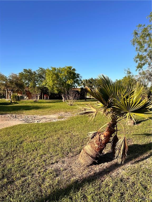 26841 Iowa Gardens Road San Benito, TX 78586 - Photo 7 of 10 View of yard