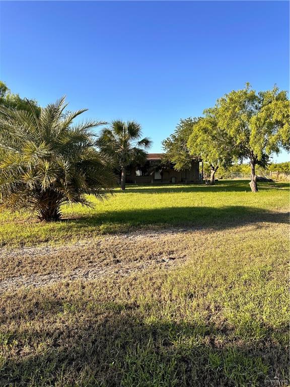 26841 Iowa Gardens Road San Benito, TX 78586 - Photo 8 of 10 View of yard