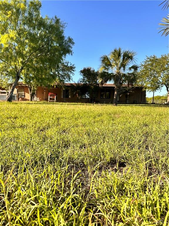 26841 Iowa Gardens Road San Benito, TX 78586 - Photo 9 of 10 View of yard