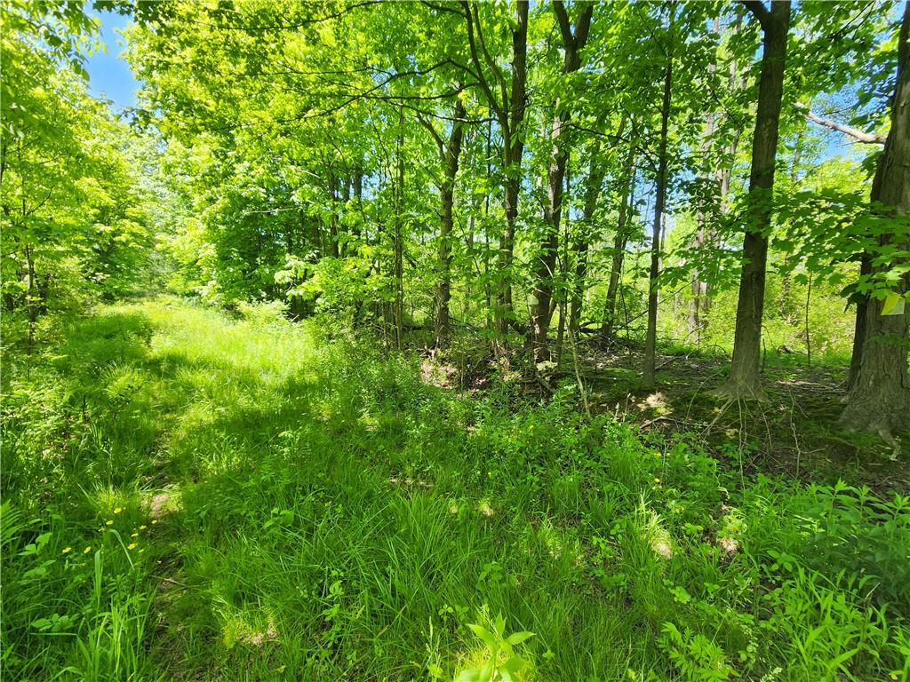 0 Irish Ridge Road Stoneboro, PA 16153 - Photo 2 of 12