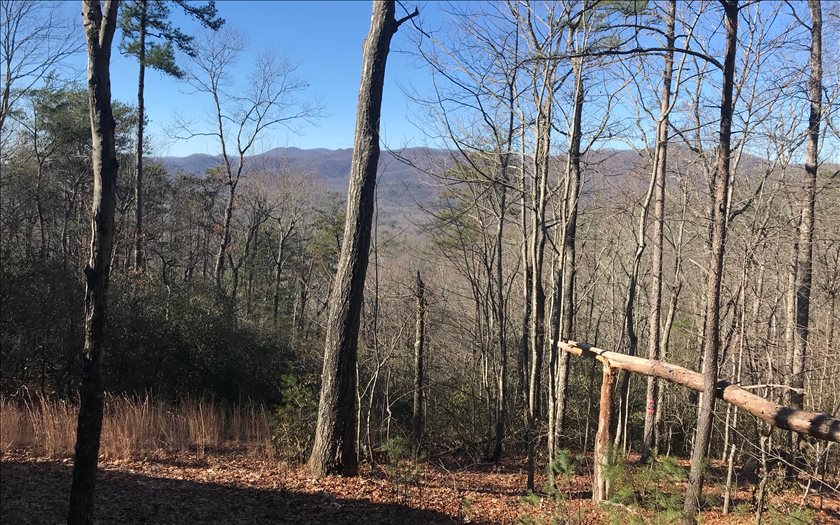 Little Bushy Head Road Blue Ridge, GA 30513 - Photo 1 of 1 Main View
