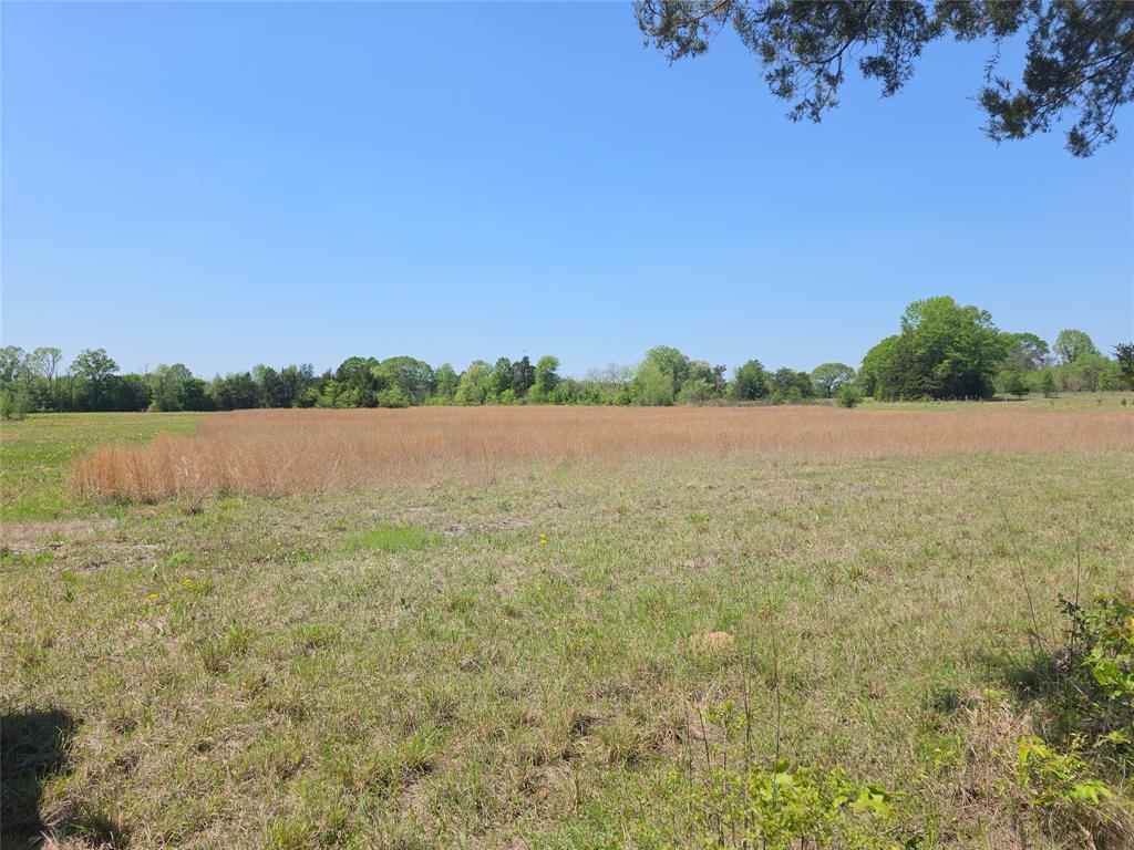 0 Cr-4240 Simms, TX 75574 - Photo 1 of 8 View of yard featuring a rural view
