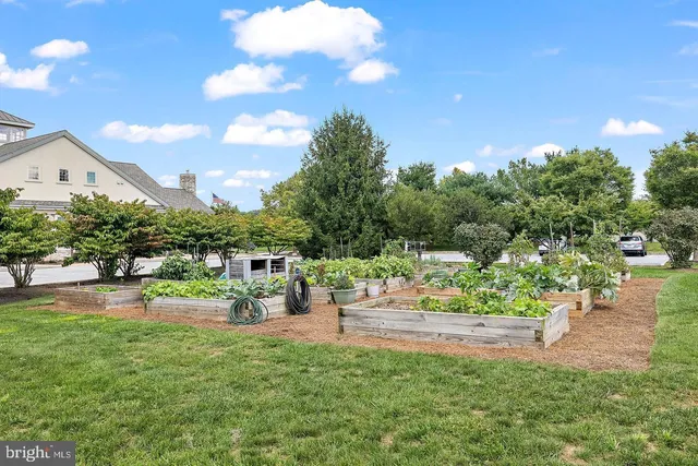 a view of a garden with lawn chairs and a fire pit