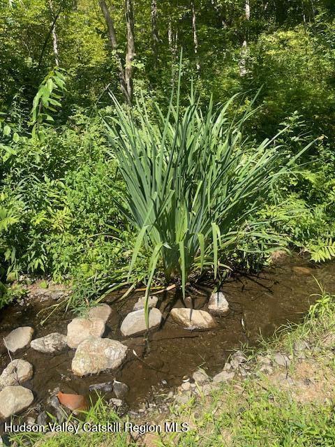 472 Doodletown Road Ancram, NY 12502 - Photo 22 of 23 a view of a yard