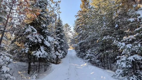 $1,500,000 | 8442 Hwy 24 Cook Mn 55723, Cook, MN 55723