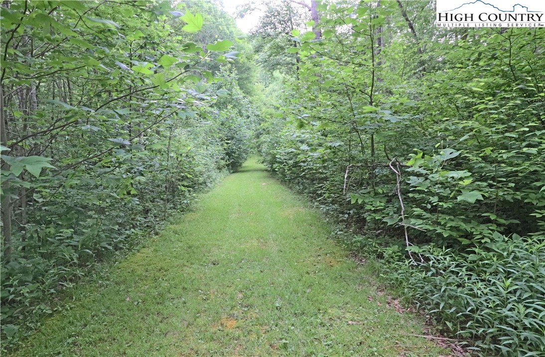 Rhodo, Unit 69 Banner Elk, NC 28604 - Photo 2 of 9