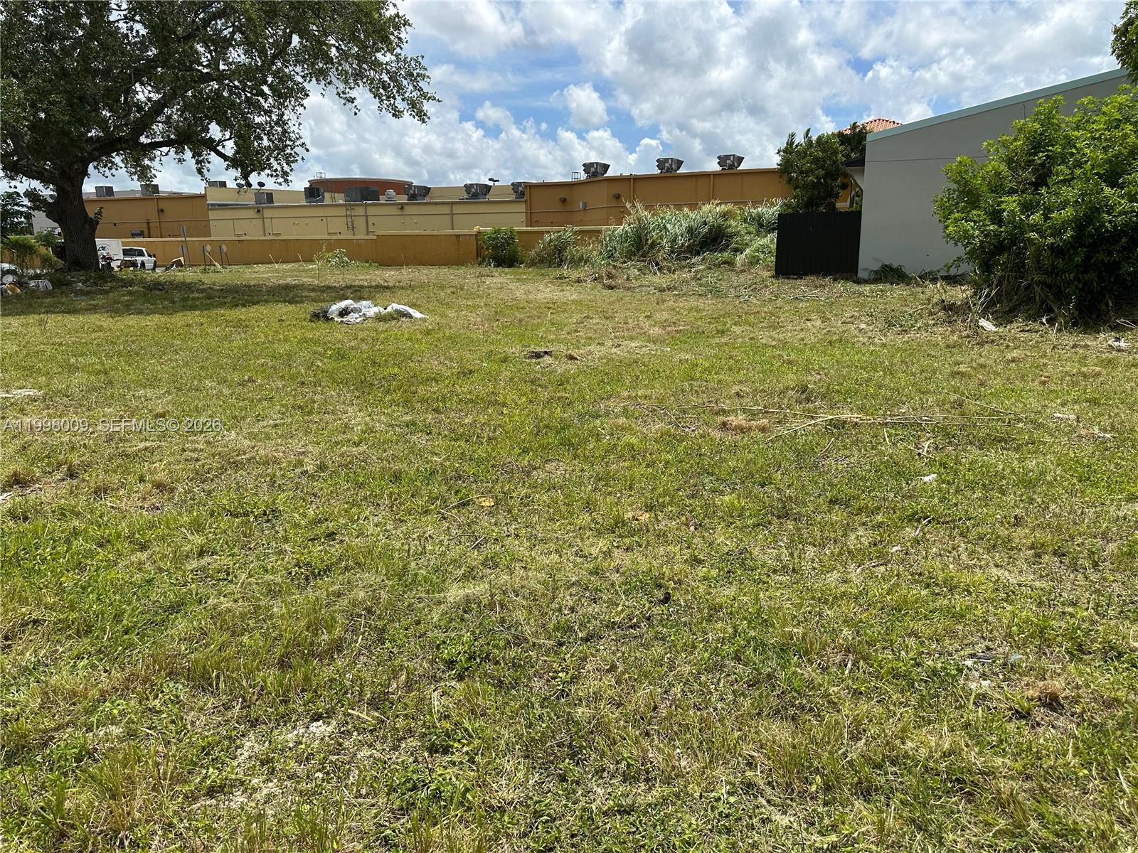 11888 Southwest 220th Street Miami, FL 33170 - Photo 6 of 8 a view of a garden with an outdoor space