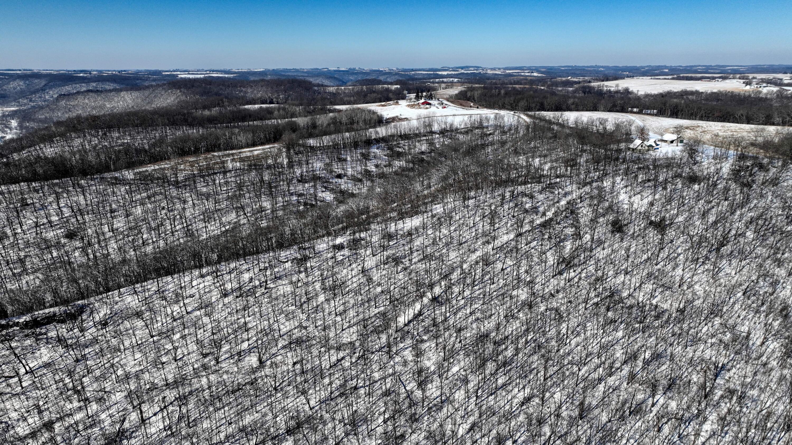 14096 Turben Ridge Road Clayton, WI 54655 - Photo 28 of 59 24