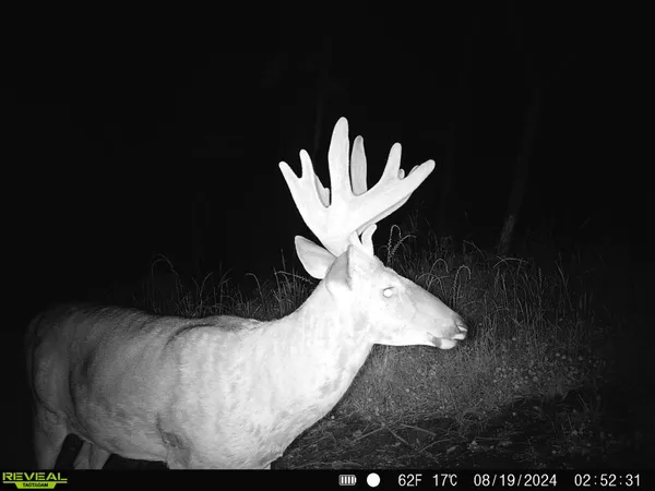 $649,900 | 14096 Turben Ridge Road, Clayton, WI 54655