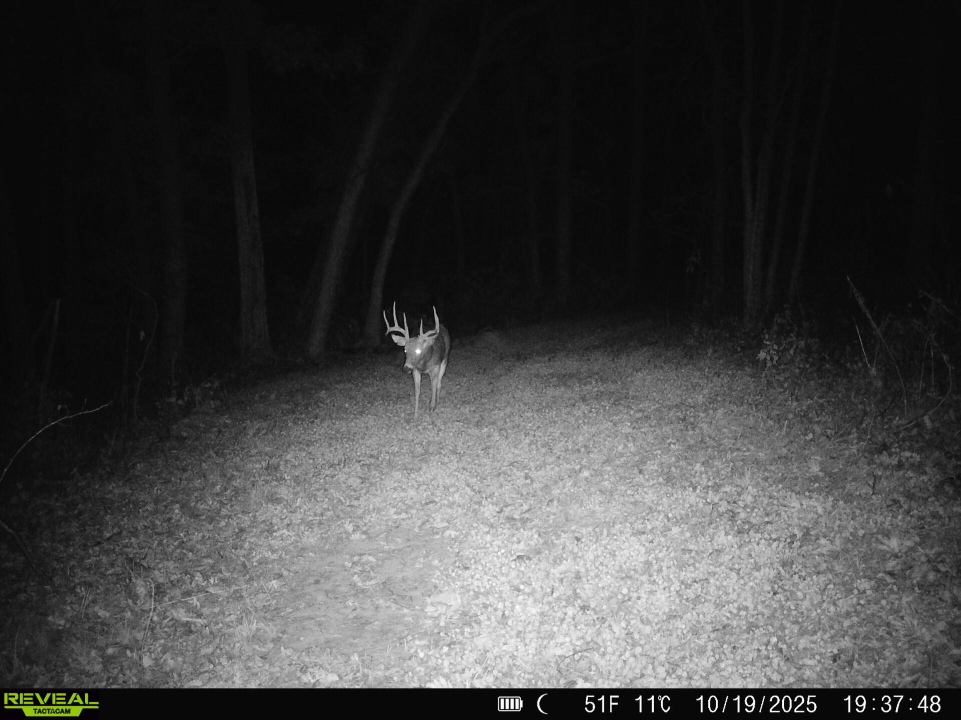 14096 Turben Ridge Road Clayton, WI 54655 - Photo 30 of 59 26