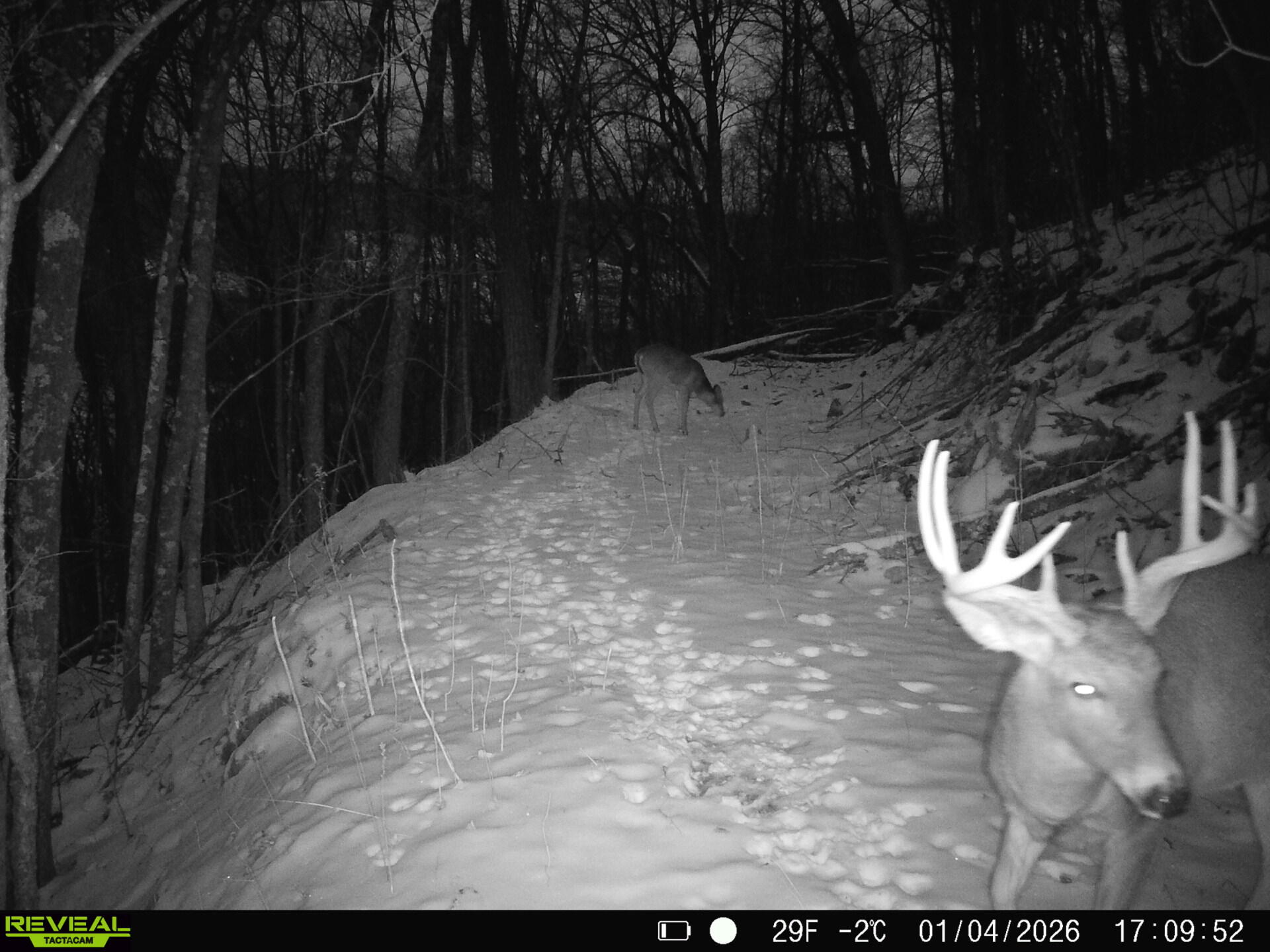 14096 Turben Ridge Road Clayton, WI 54655 - Photo 31 of 66 1000030614