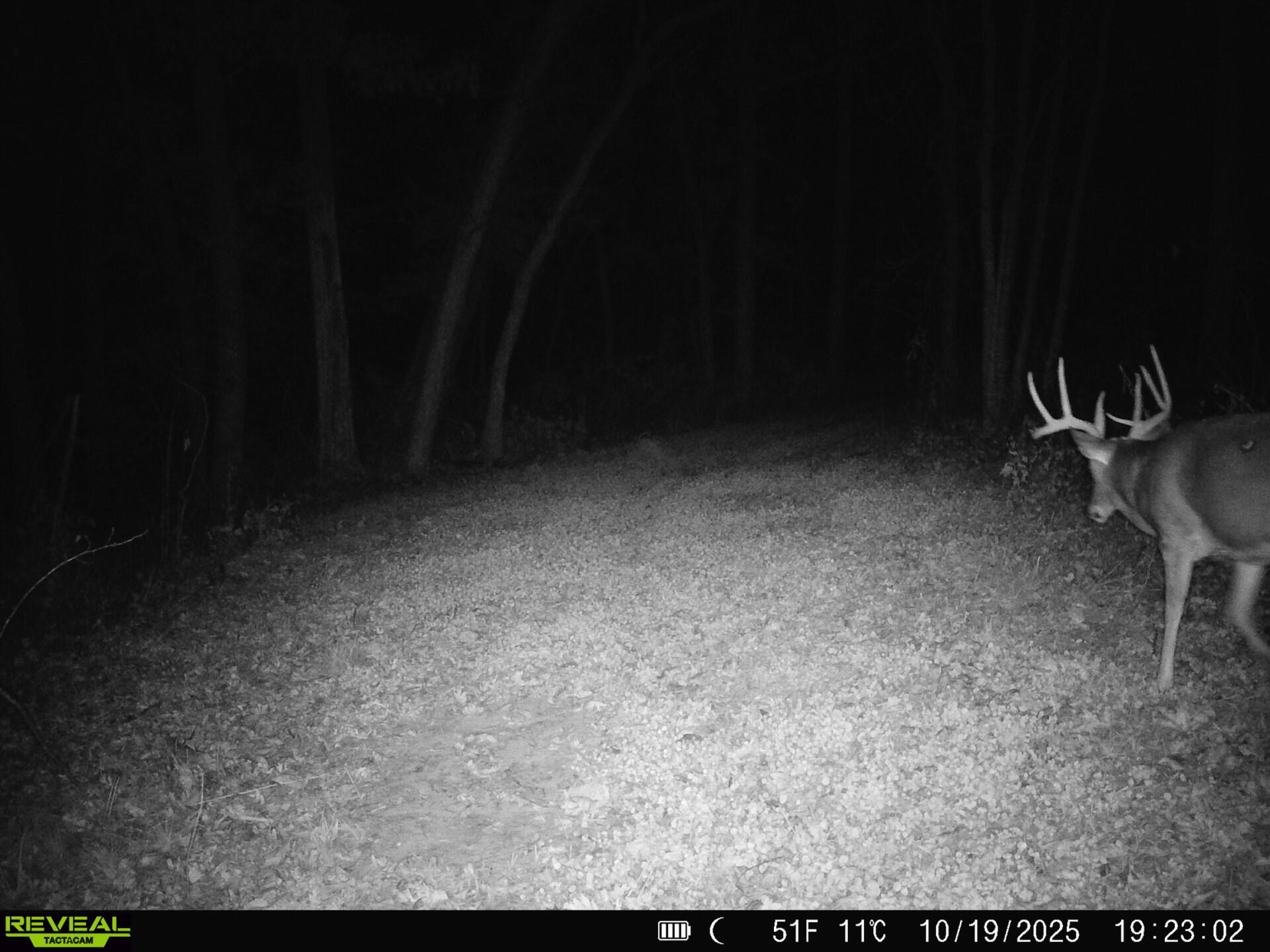 14096 Turben Ridge Road Clayton, WI 54655 - Photo 32 of 66 27