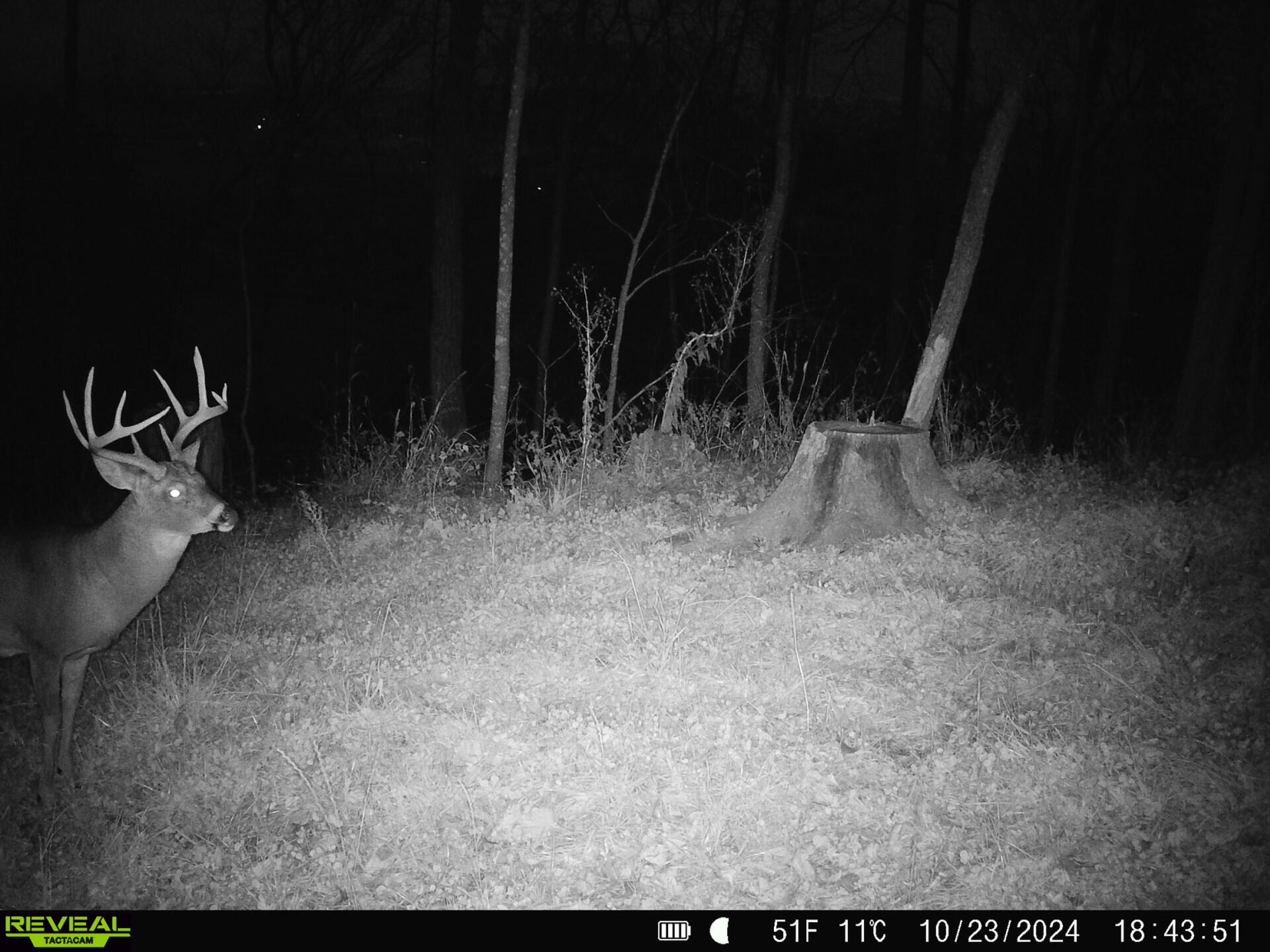 14096 Turben Ridge Road Clayton, WI 54655 - Photo 32 of 59 28