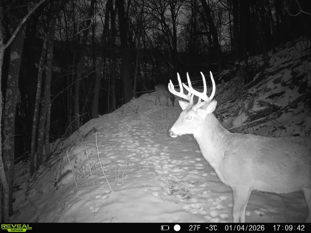 $649,900 | 14096 Turben Ridge Road, Clayton, WI 54655