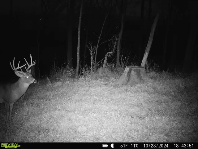 $649,900 | 14096 Turben Ridge Road, Clayton, WI 54655