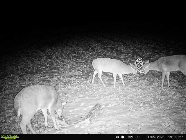 14096 Turben Ridge Road Clayton, WI 54655 - Photo 36 of 66 1000030622