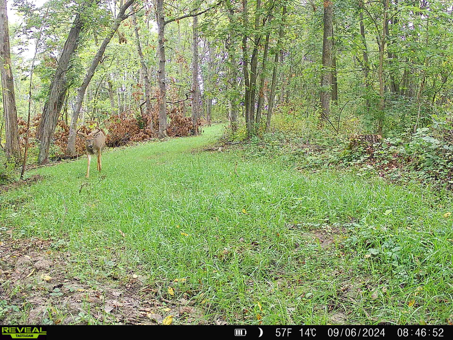 14096 Turben Ridge Road Clayton, WI 54655 - Photo 36 of 59 31