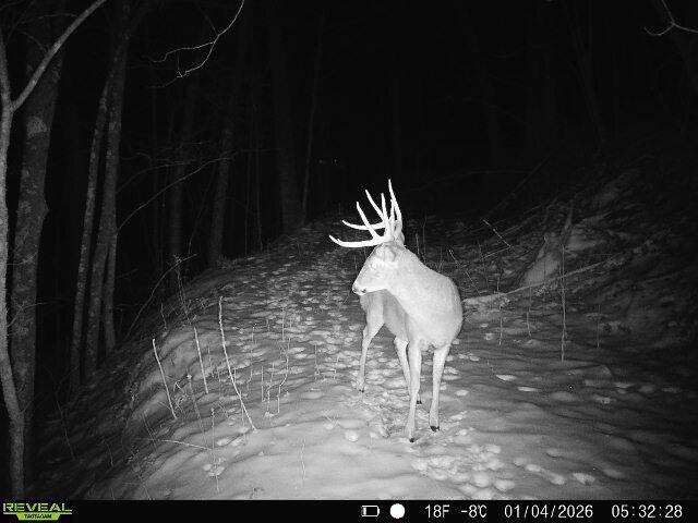 14096 Turben Ridge Road Clayton, WI 54655 - Photo 37 of 66 1000030619