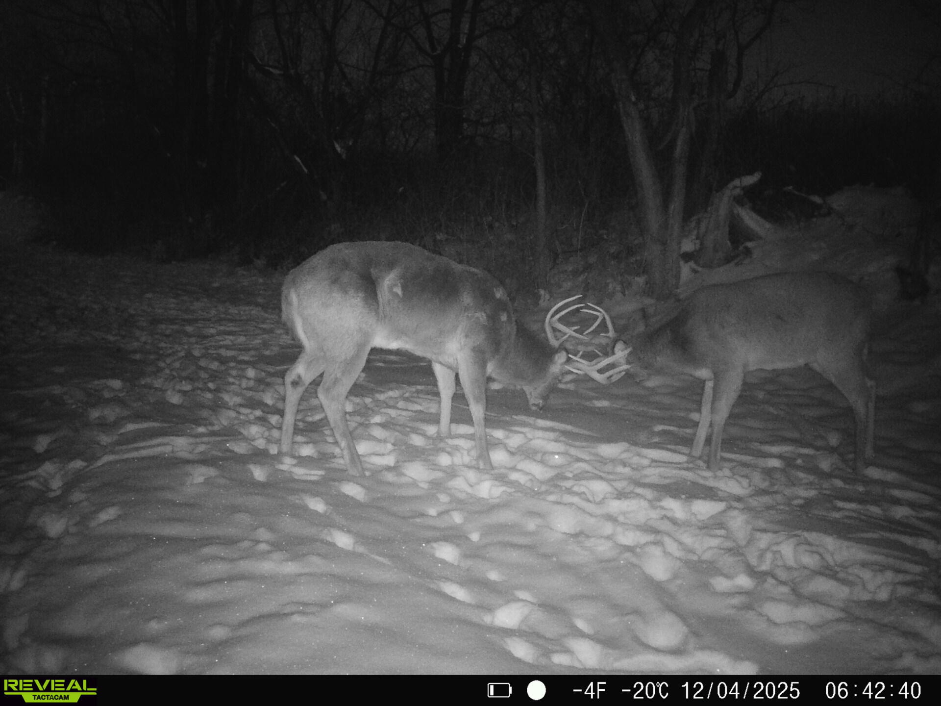 14096 Turben Ridge Road Clayton, WI 54655 - Photo 38 of 59 33