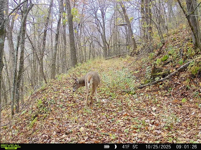 $649,900 | 14096 Turben Ridge Road, Clayton, WI 54655