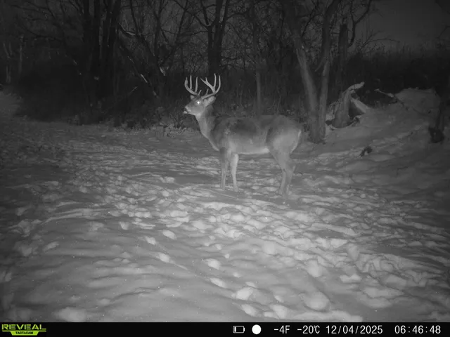 $649,900 | 14096 Turben Ridge Road, Clayton, WI 54655