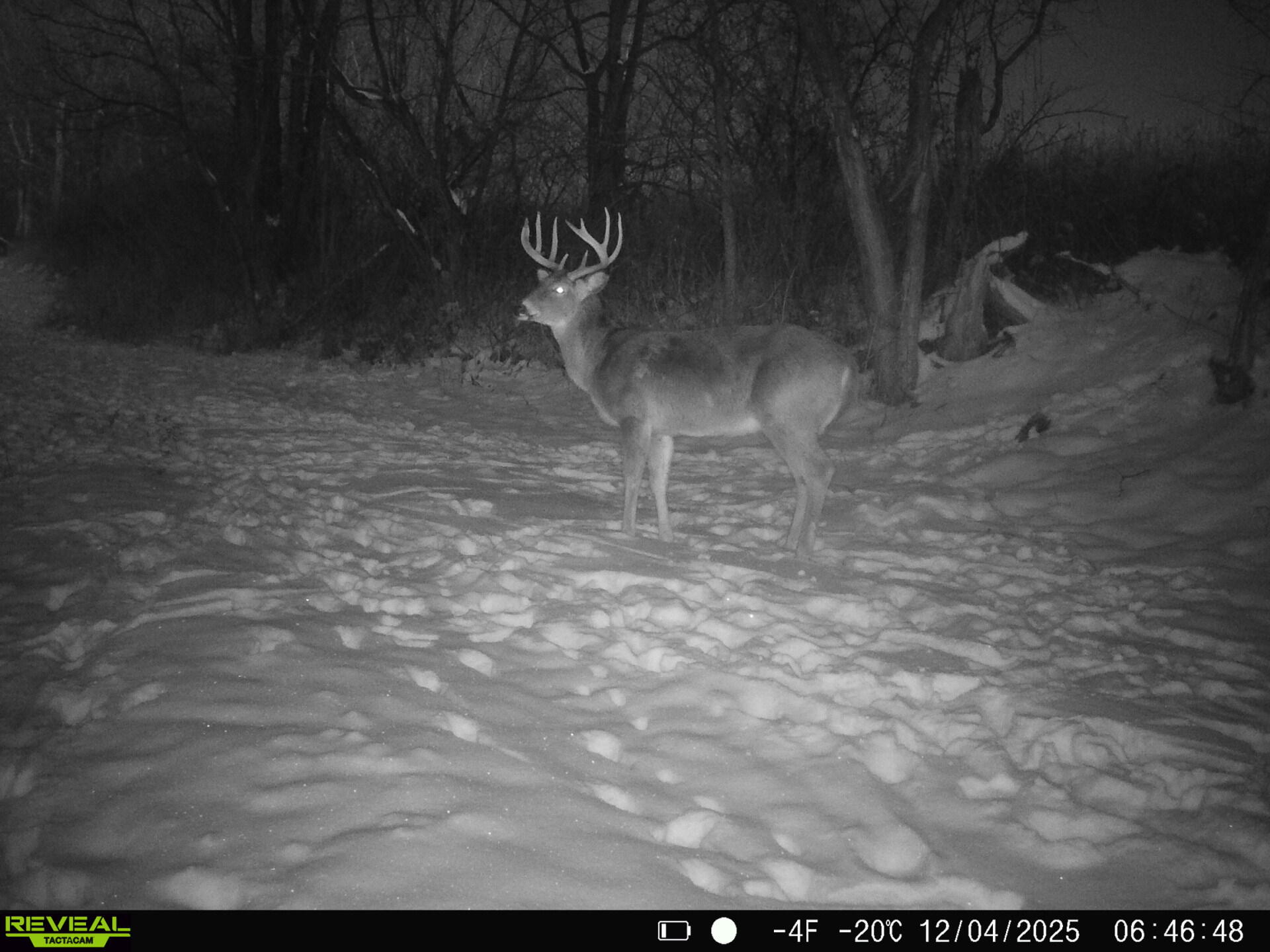 14096 Turben Ridge Road Clayton, WI 54655 - Photo 39 of 59 34