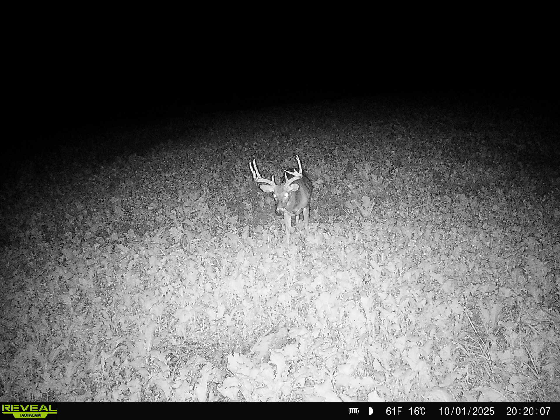 14096 Turben Ridge Road Clayton, WI 54655 - Photo 40 of 59 35