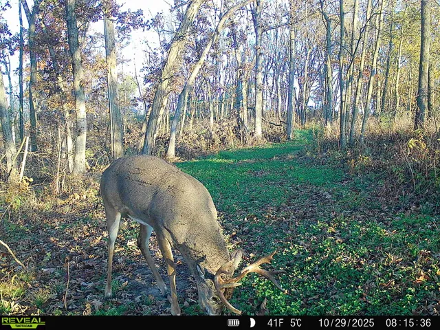 $649,900 | 14096 Turben Ridge Road, Clayton, WI 54655