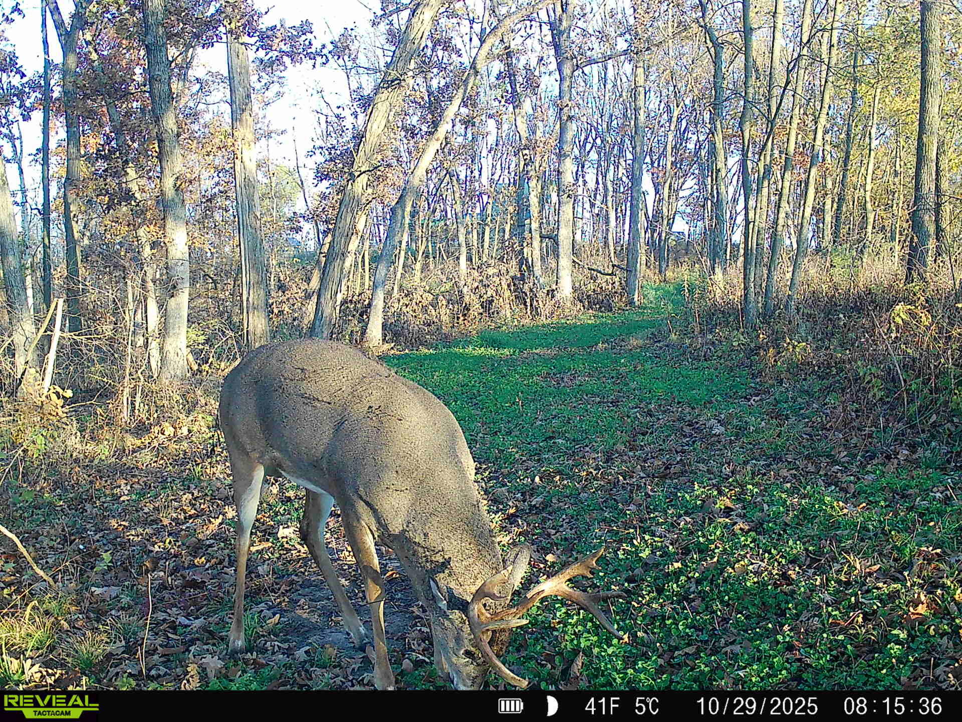 14096 Turben Ridge Road Clayton, WI 54655 - Photo 41 of 59 36