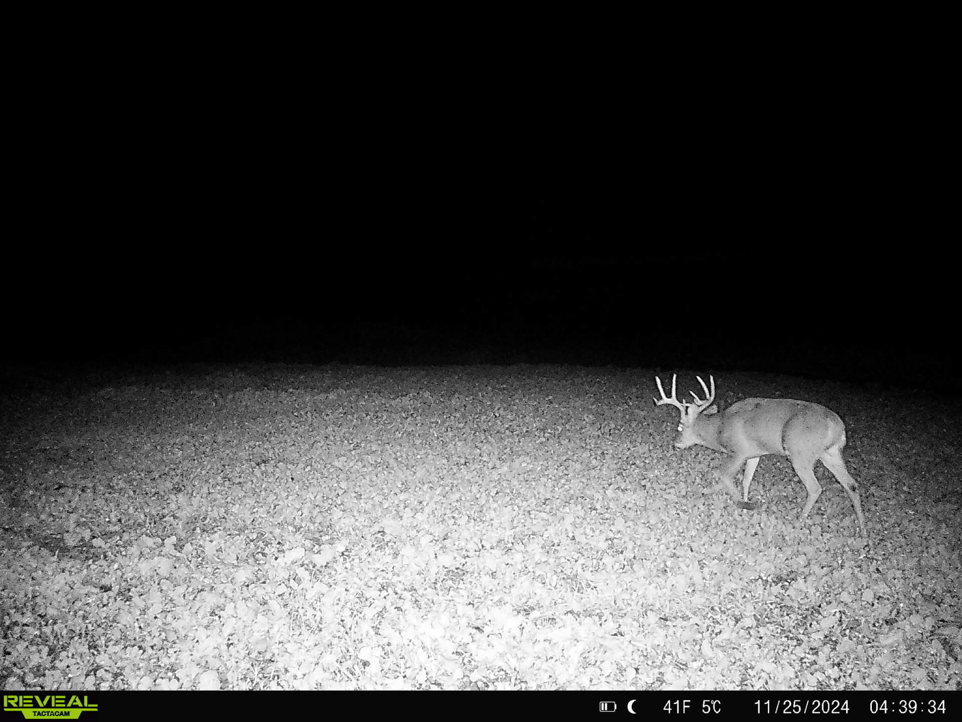 14096 Turben Ridge Road Clayton, WI 54655 - Photo 41 of 66 32