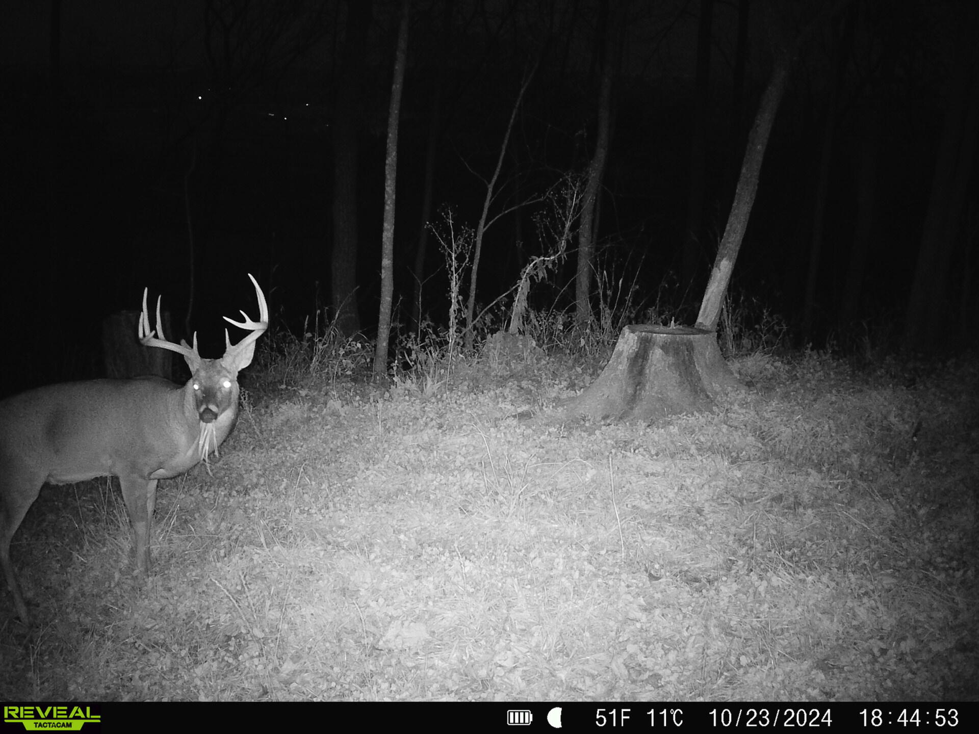 14096 Turben Ridge Road Clayton, WI 54655 - Photo 42 of 59 37