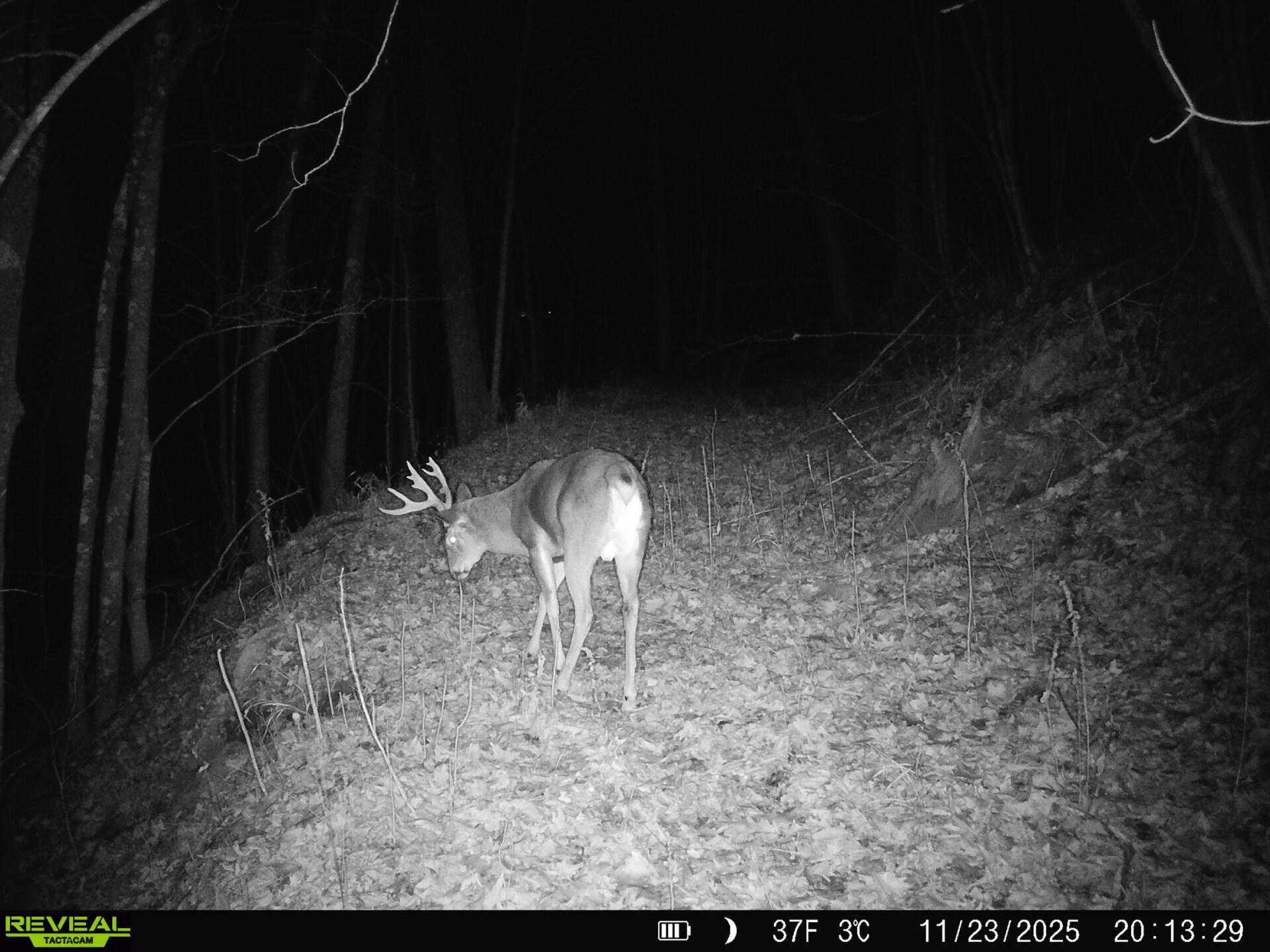 14096 Turben Ridge Road Clayton, WI 54655 - Photo 48 of 59 43