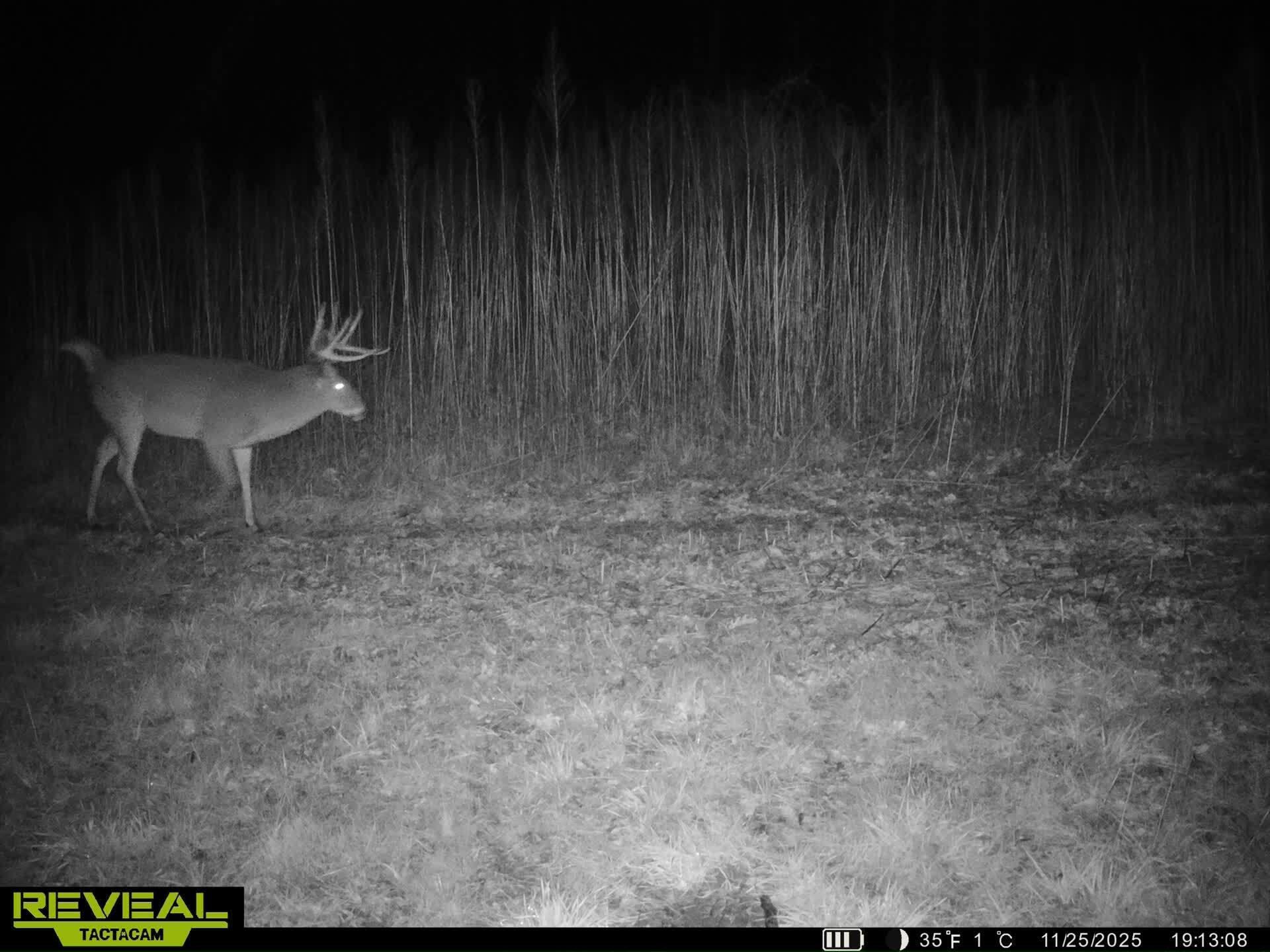 14096 Turben Ridge Road Clayton, WI 54655 - Photo 50 of 66 41