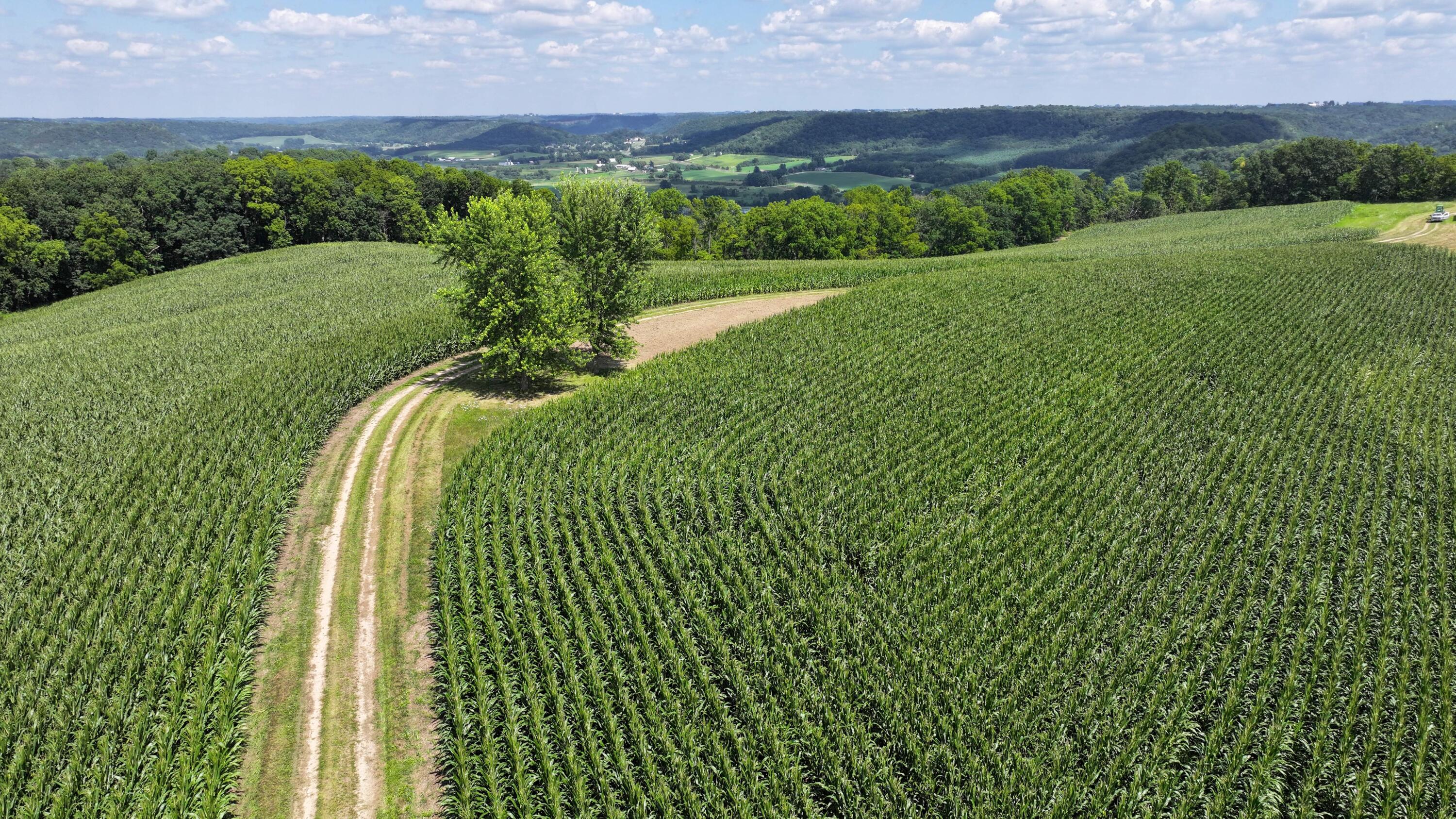 14096 Turben Ridge Road Clayton, WI 54655 - Photo 5 of 59 5