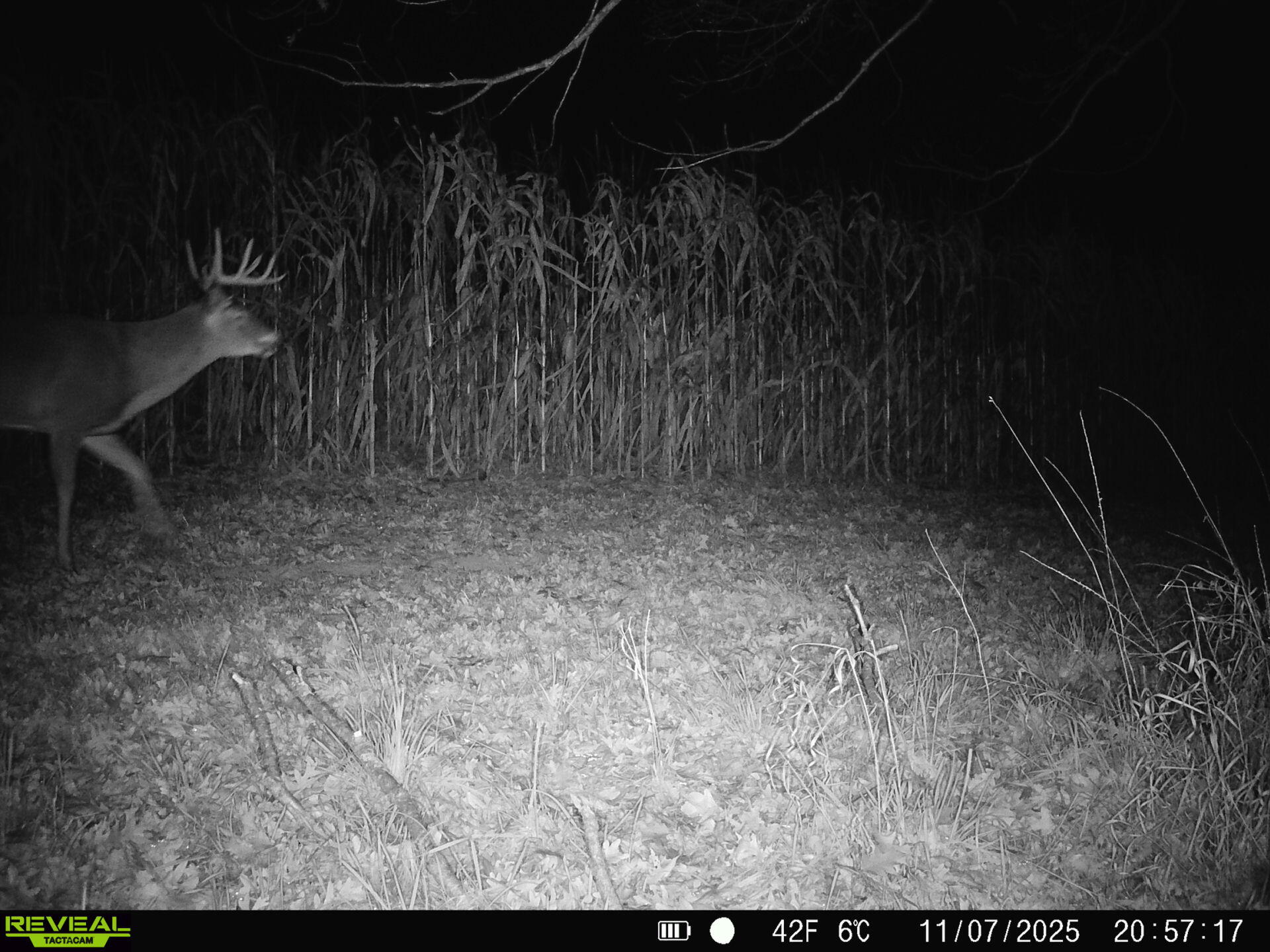 14096 Turben Ridge Road Clayton, WI 54655 - Photo 51 of 66 42