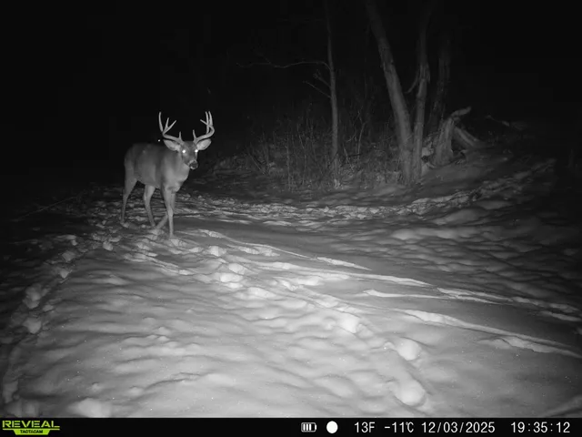 $649,900 | 14096 Turben Ridge Road, Clayton, WI 54655