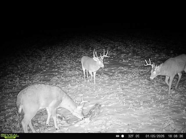 14096 Turben Ridge Road Clayton, WI 54655 - Photo 53 of 66 1000030621