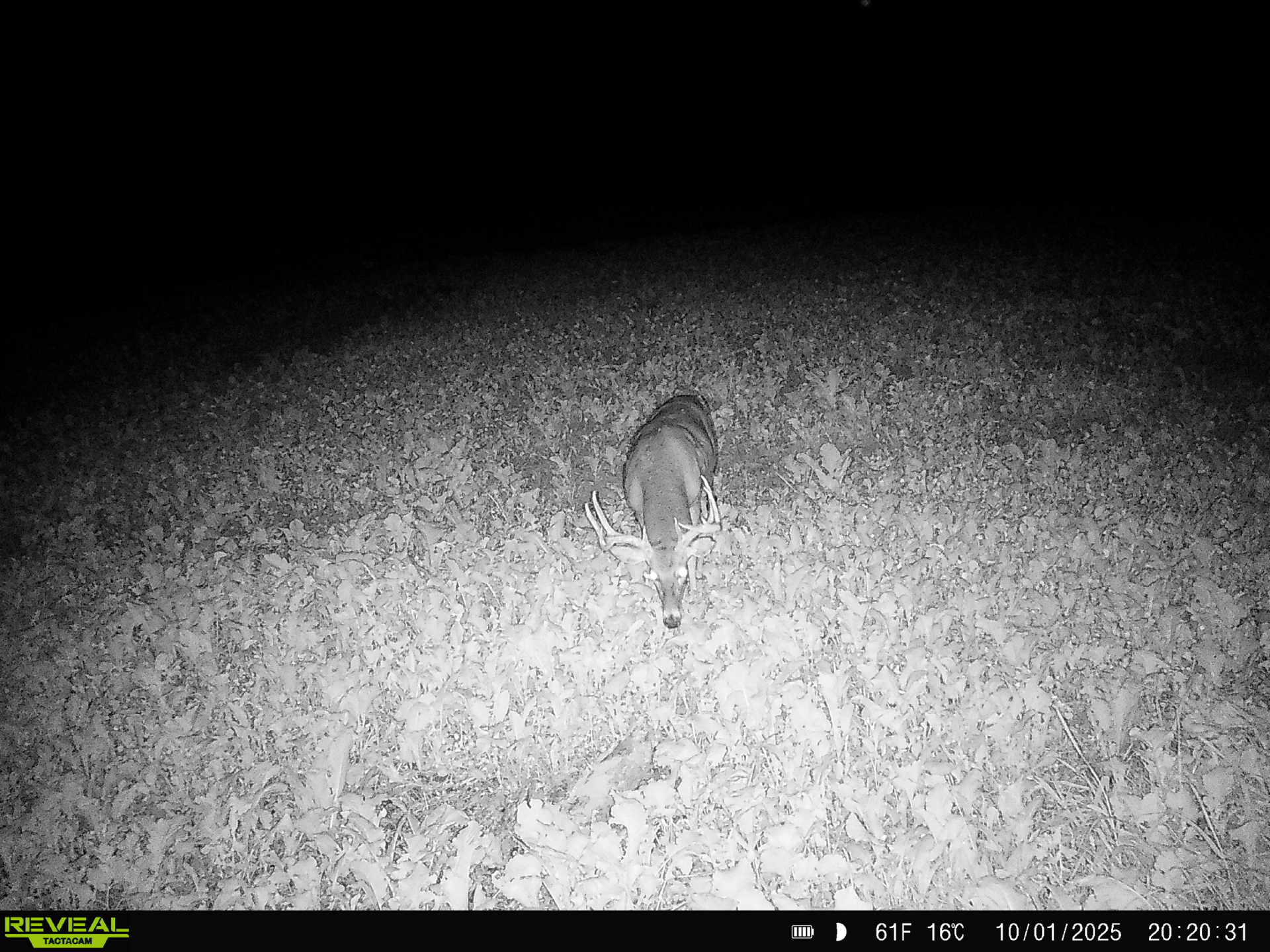 14096 Turben Ridge Road Clayton, WI 54655 - Photo 54 of 59 49