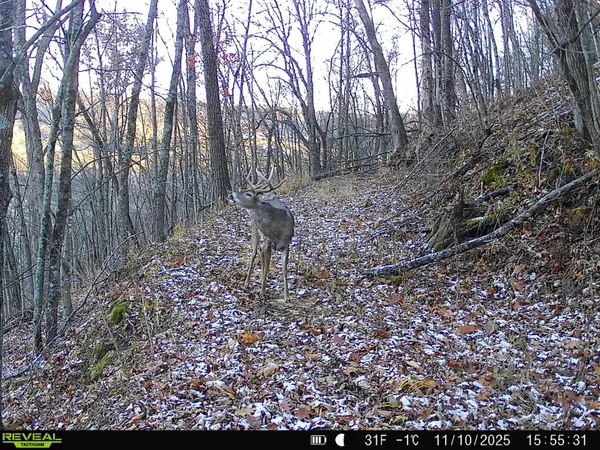 $649,900 | 14096 Turben Ridge Road, Clayton, WI 54655