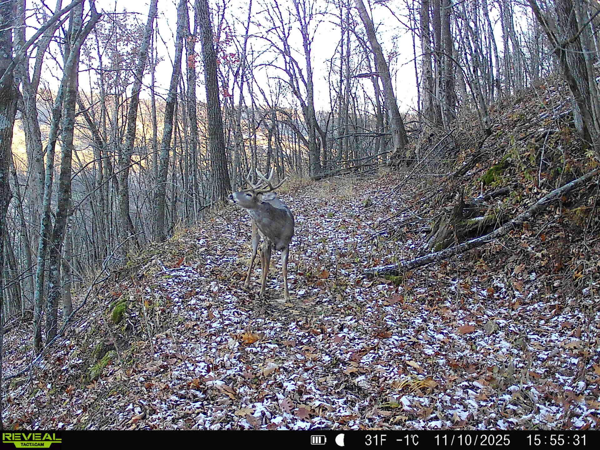 14096 Turben Ridge Road Clayton, WI 54655 - Photo 54 of 66 44