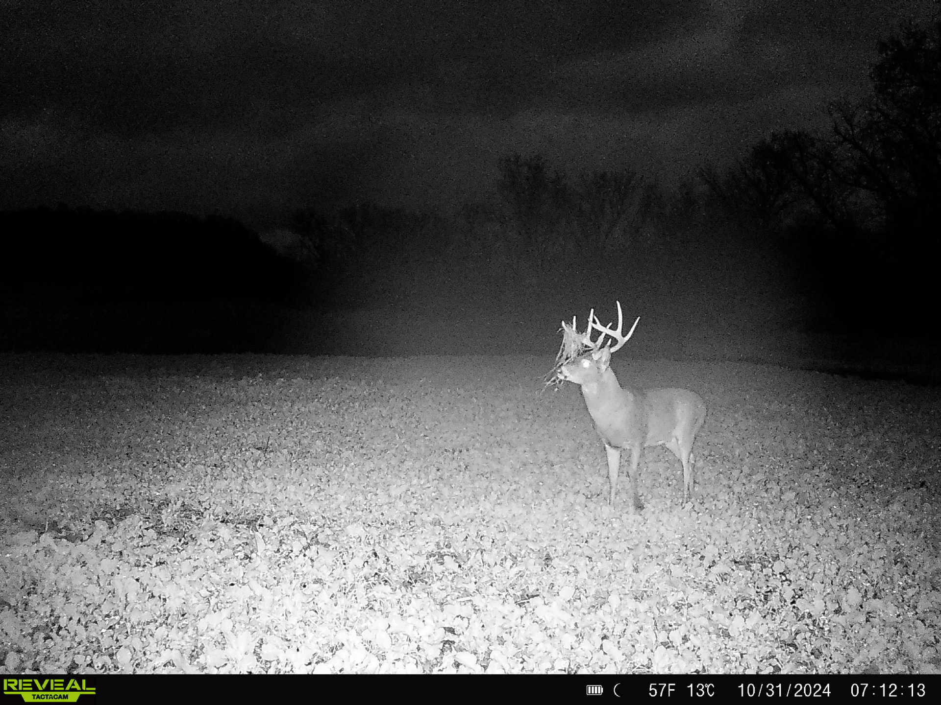 14096 Turben Ridge Road Clayton, WI 54655 - Photo 55 of 59 50