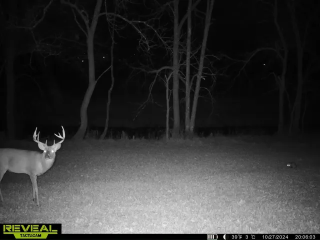 $649,900 | 14096 Turben Ridge Road, Clayton, WI 54655