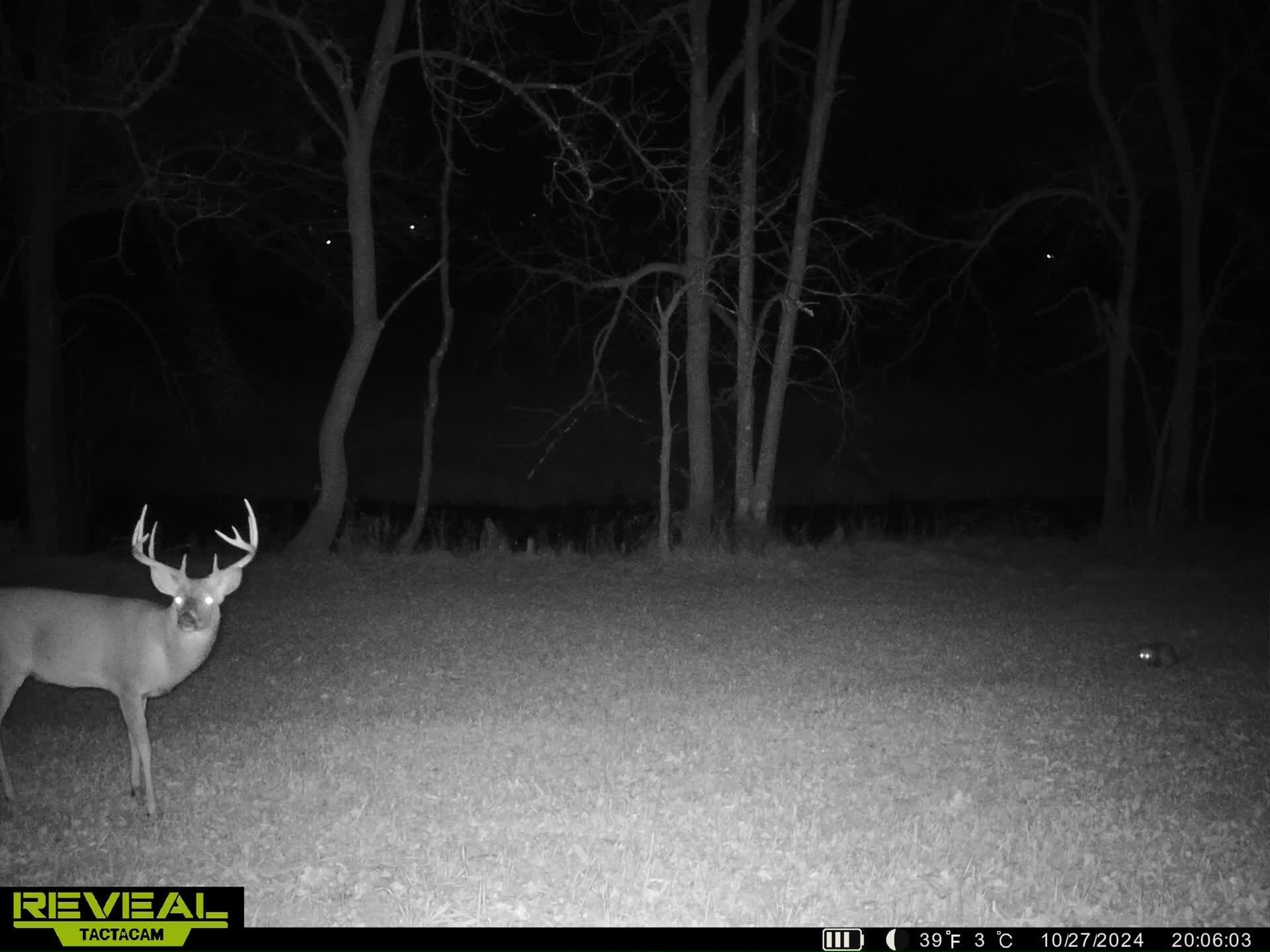 14096 Turben Ridge Road Clayton, WI 54655 - Photo 56 of 59 51