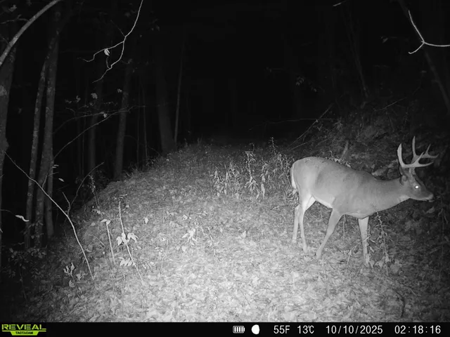 $649,900 | 14096 Turben Ridge Road, Clayton, WI 54655