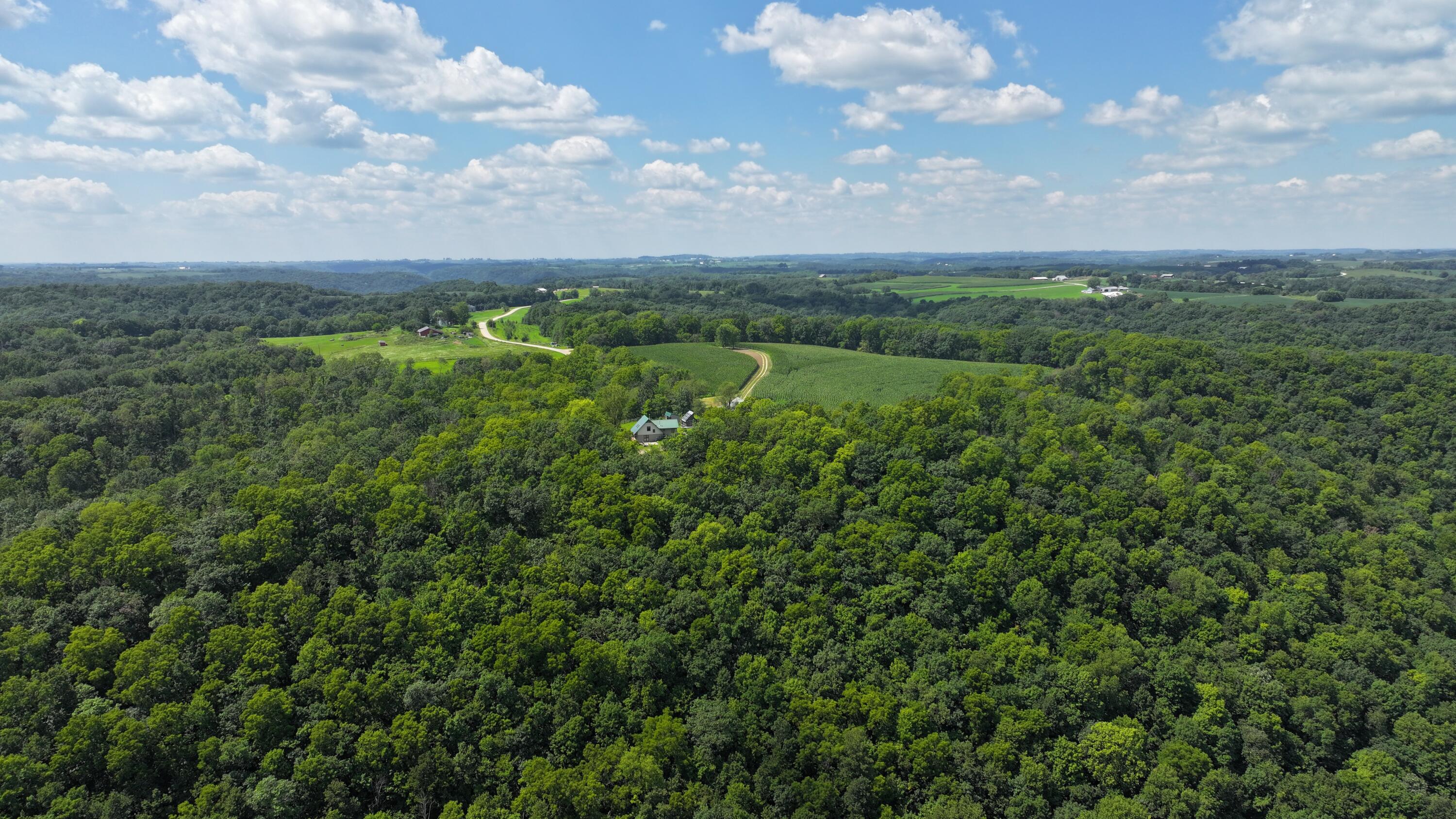 14096 Turben Ridge Road Clayton, WI 54655 - Photo 57 of 59 52