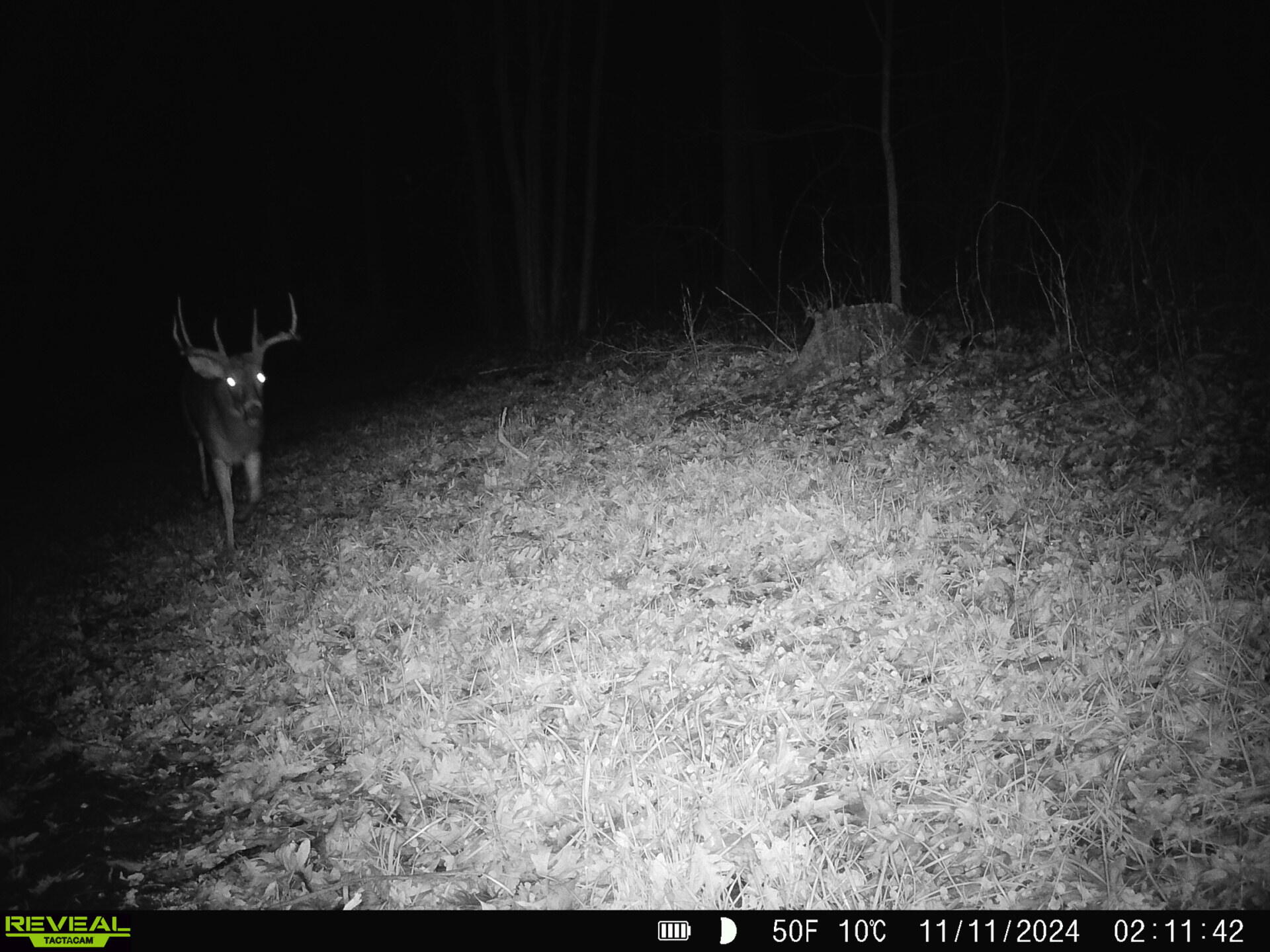 14096 Turben Ridge Road Clayton, WI 54655 - Photo 58 of 66 48